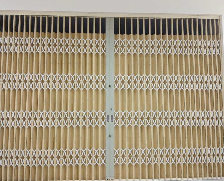 Công trình cửa kéo có lá tại Thủ Thiêm